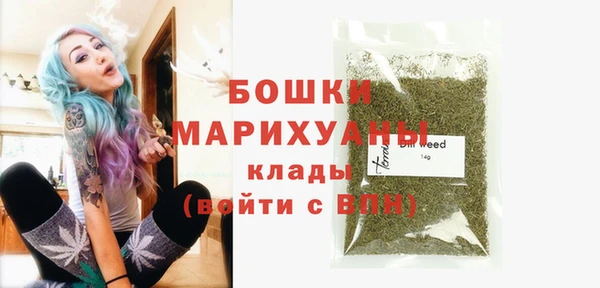 тгк Вяземский