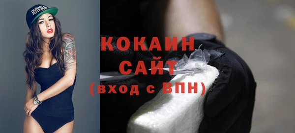 стафф Вязьма