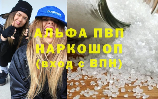 стафф Вязьма