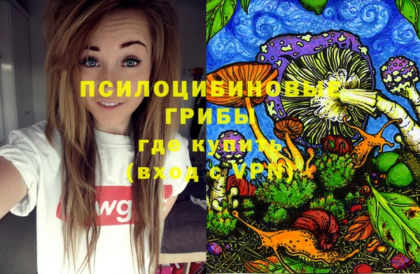 тгк Вяземский