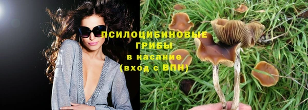 дмт Вязники