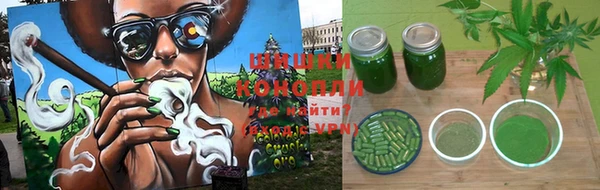 тгк Вяземский