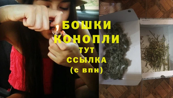 стафф Вязьма