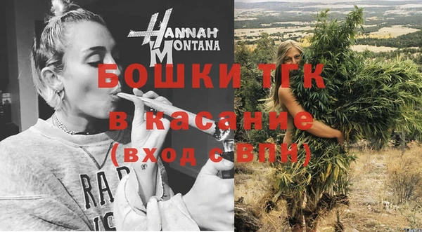 тгк Вяземский